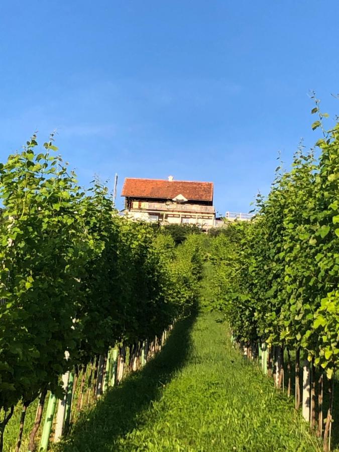 Appartement Georgiberg Ehrenhausen Exteriér fotografie